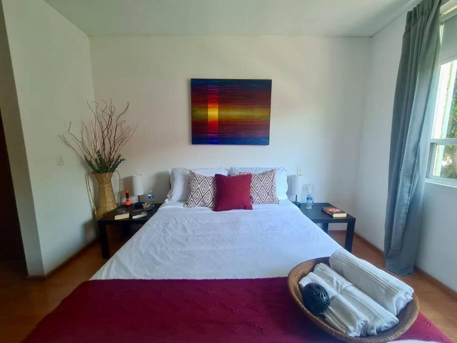 شقة Excelente Departamento En La Condesa مدينة مكسيكو المظهر الخارجي الصورة